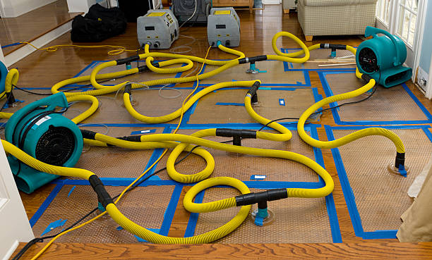 Professional Structural Drying And Dehumidification technician working in Wrightwood, CA